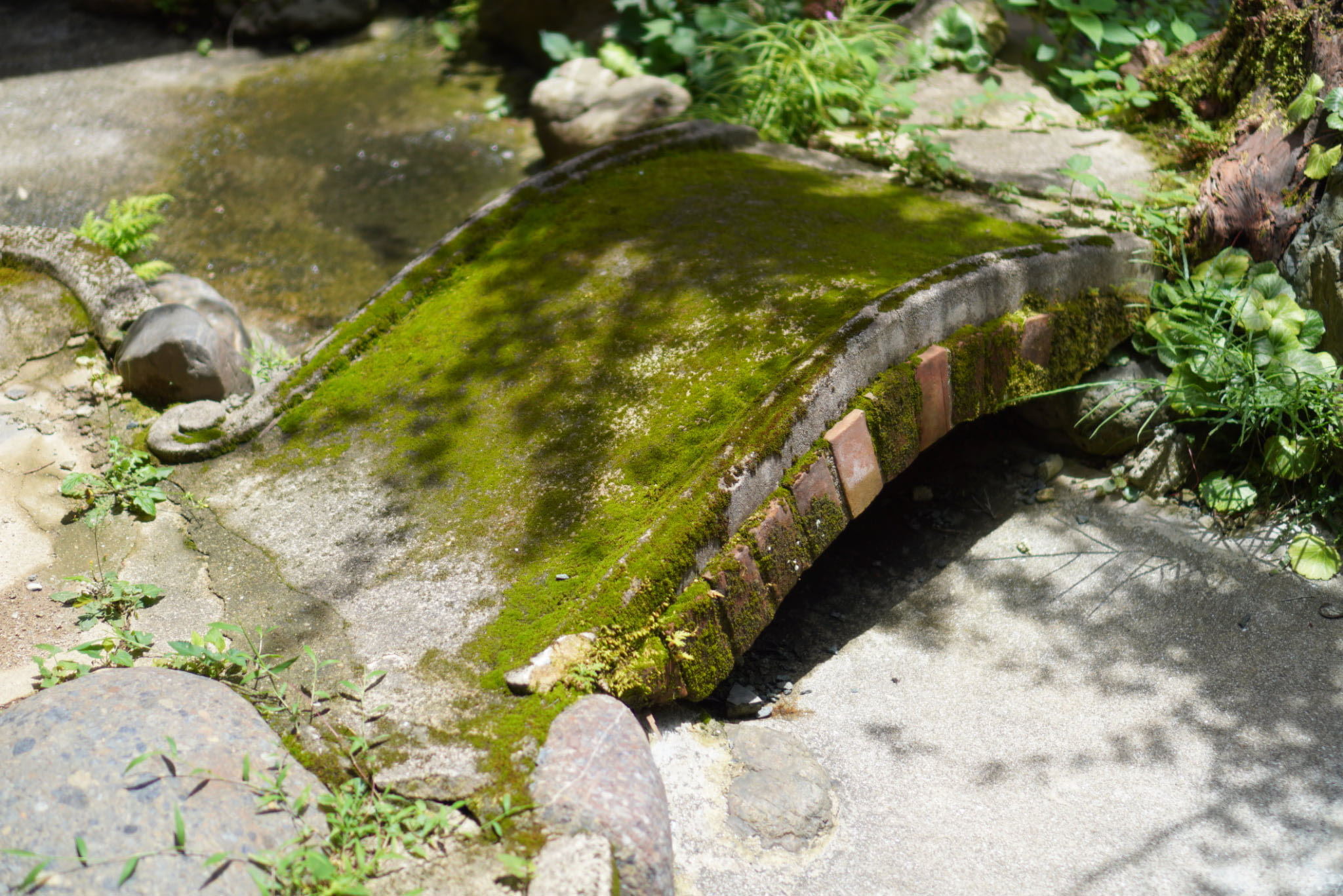 坪庭の端　ファーストビュー